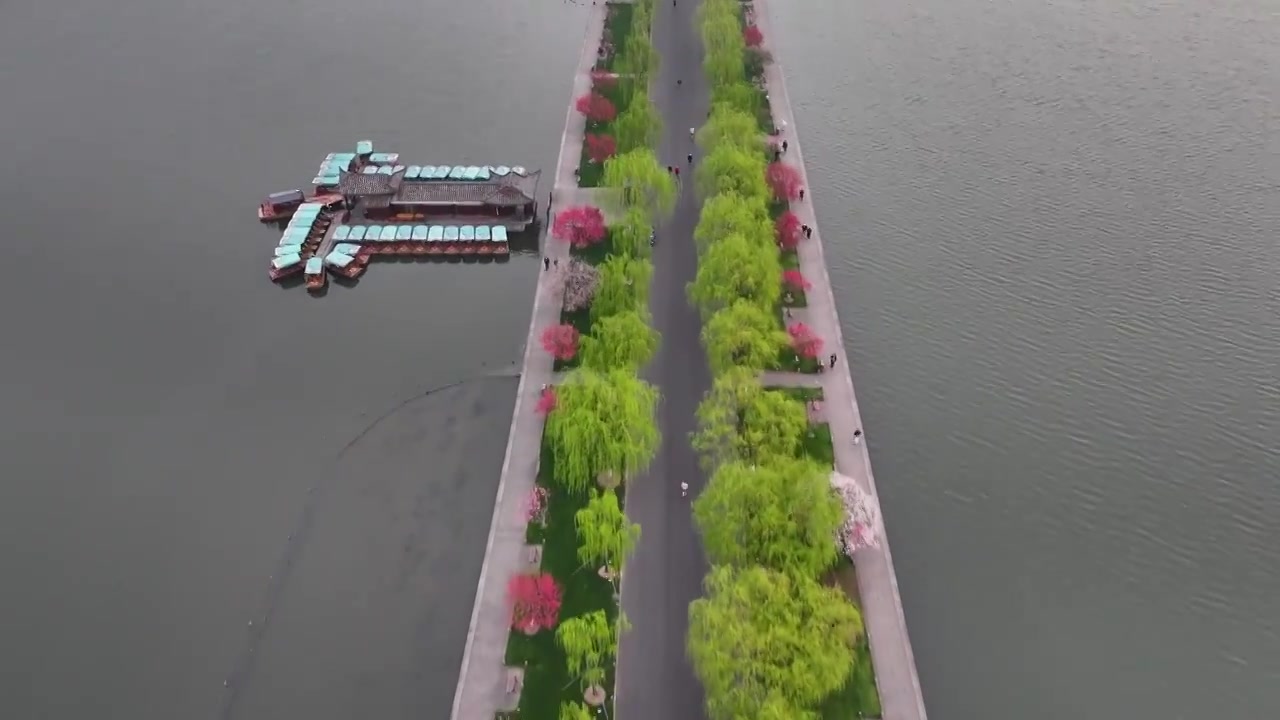 航拍春天早晨桃红枊绿的杭州西湖白堤视频下载