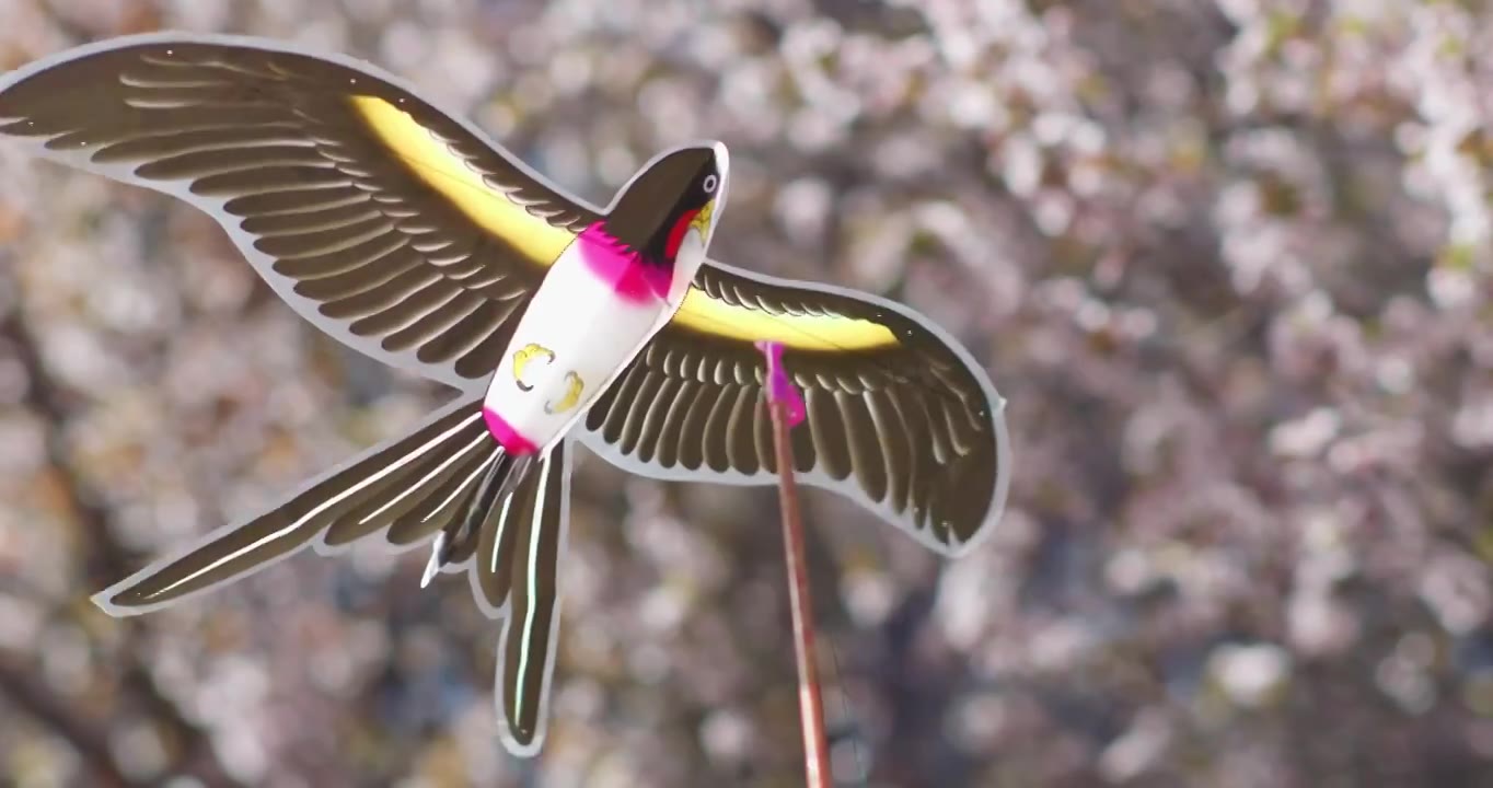 花海中放风筝纸鸢视频素材