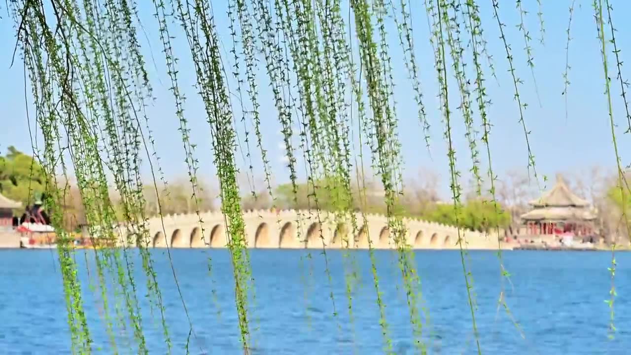 春天盛开的梅花和北京颐和园十七孔桥视频下载