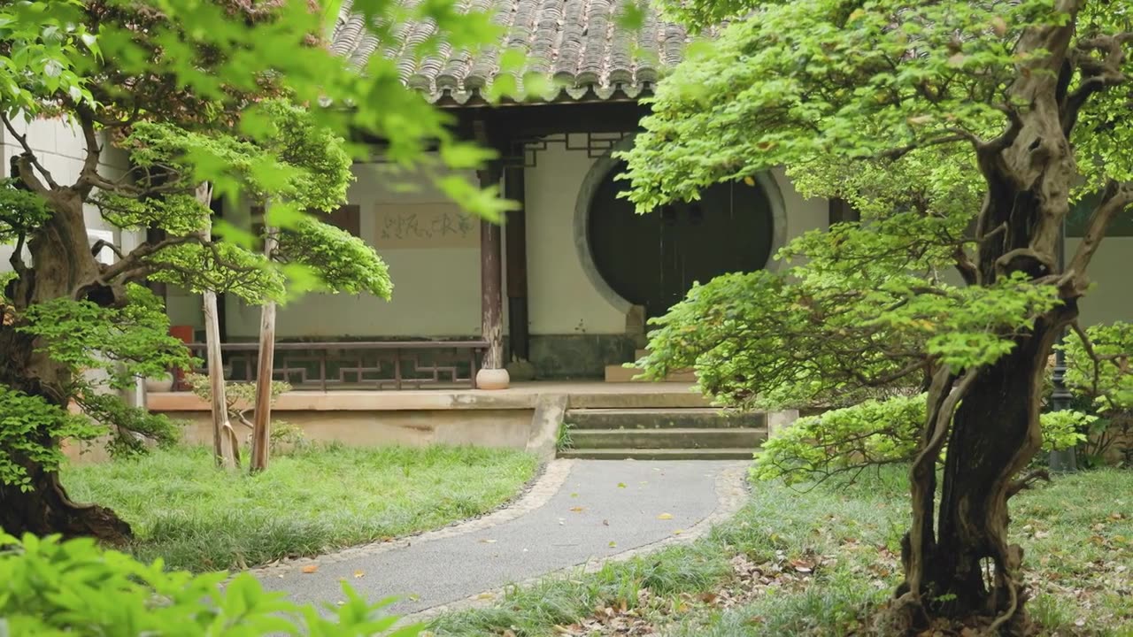 绿色植被覆盖的中式园林视频素材
