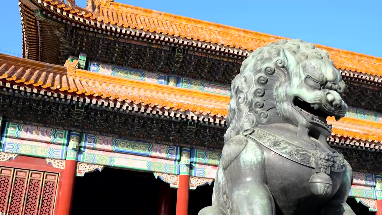 升格拍摄冬天北京故宫光影和飞鸟视频下载