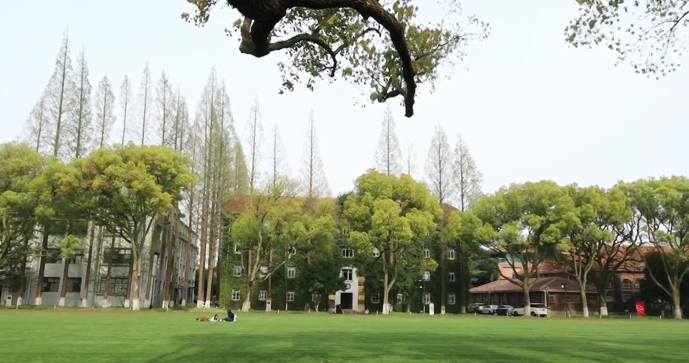 阳光下春天美丽的苏州大学民国建筑风光视频下载