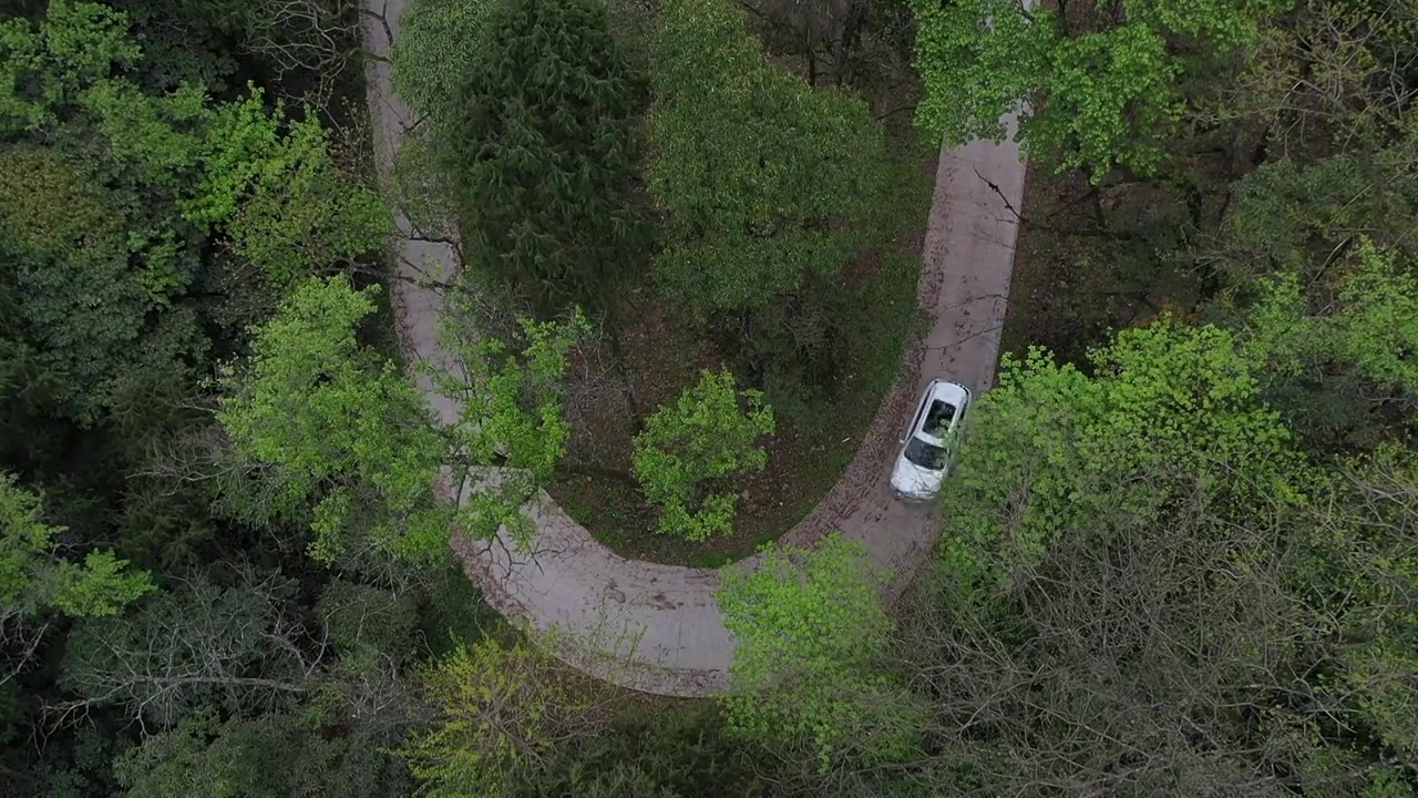 汽车驶过山林森林视频下载