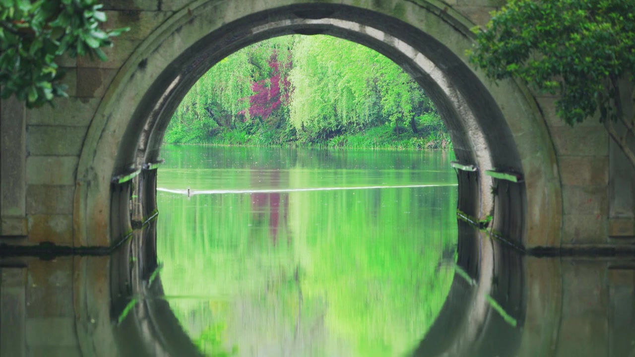 杭州西湖春天江南传统建筑石拱桥中的清新绿色柳树倒影与水鸟视频素材