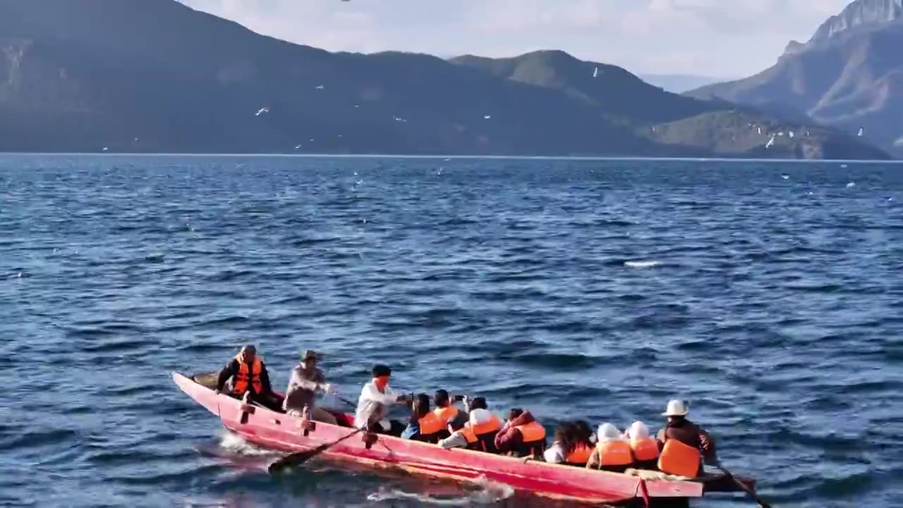 泸沽湖晴天航拍海鸥日落视频下载