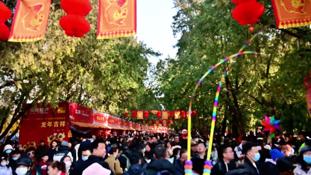 北京地天公园春节庙会游人游客人流喜庆氛围人间烟火人气视频下载