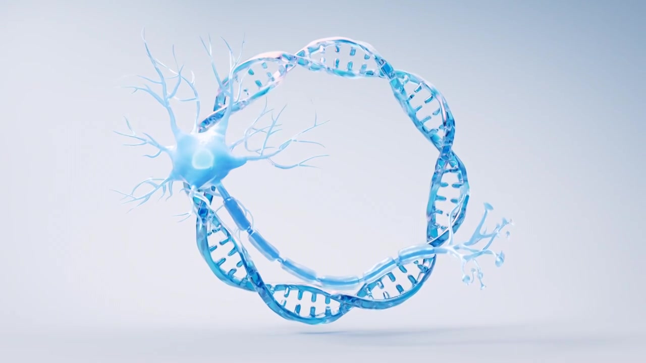 神经元细胞生物概念神经网络三维渲染视频下载