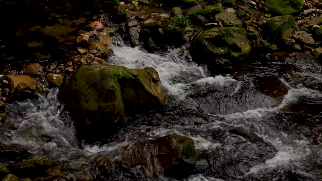 慢镜头升格湖南旅游张家界金鞭溪流水视频下载