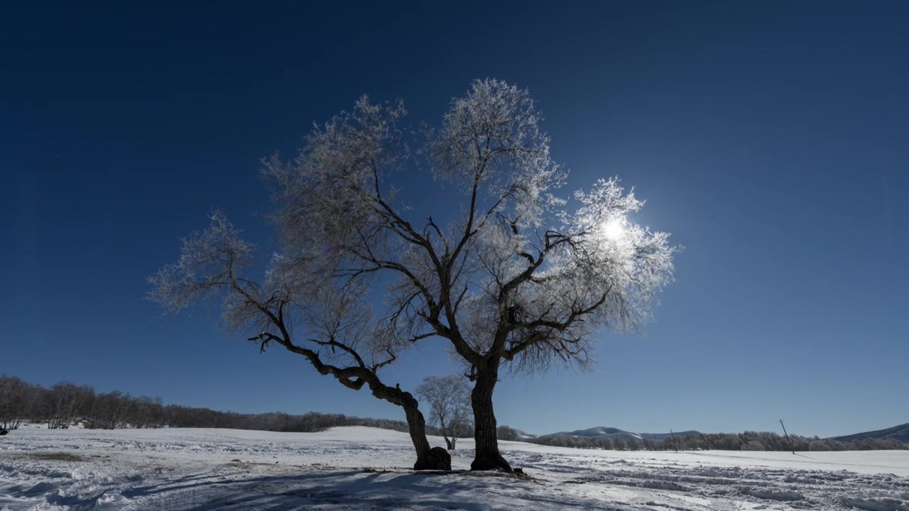 内蒙古自治区宣传片赤峰市乌兰布统景区冬季延时摄影视频下载