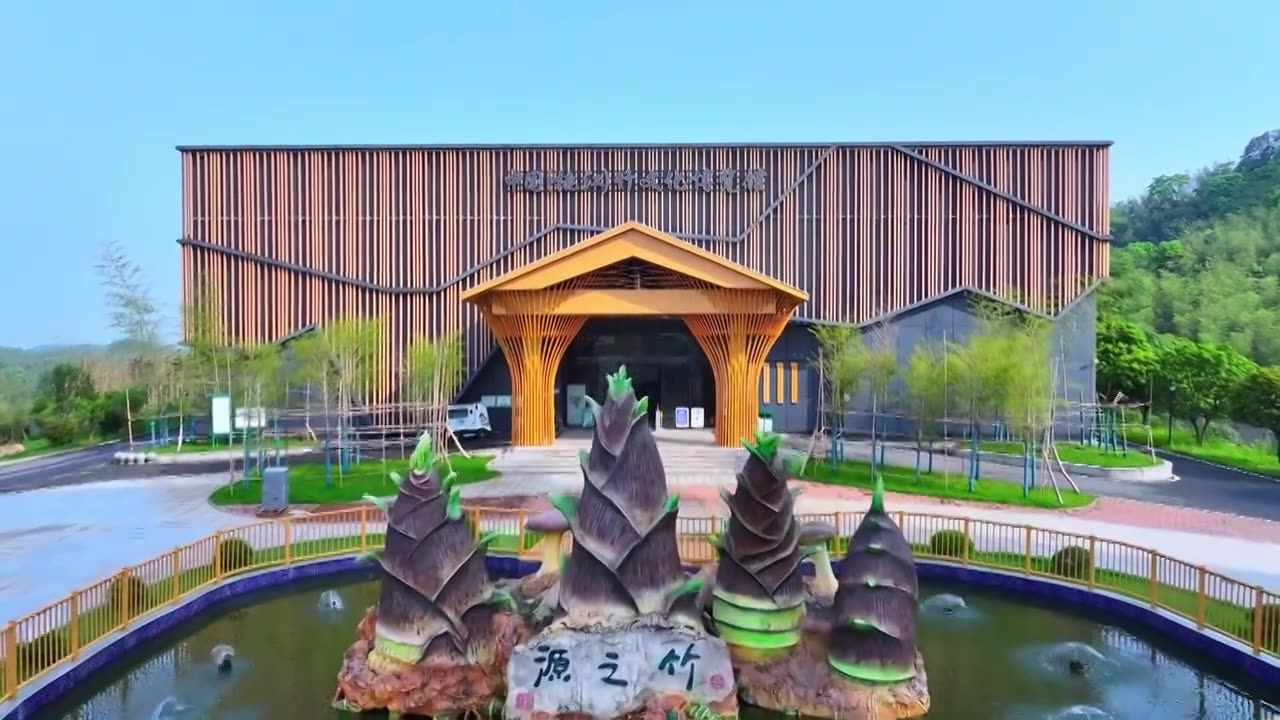 中国（桃江）竹文化博物馆视频下载