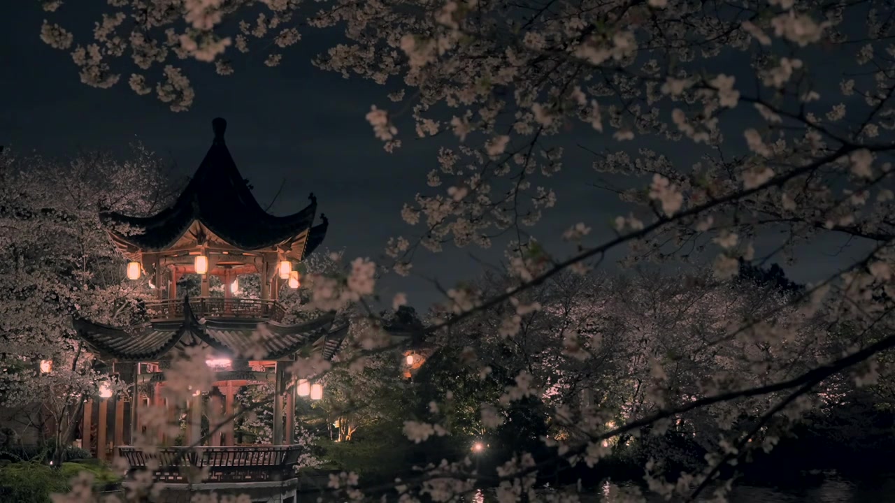 春天杭州樱花盛开的梦溪苑夜景视频下载