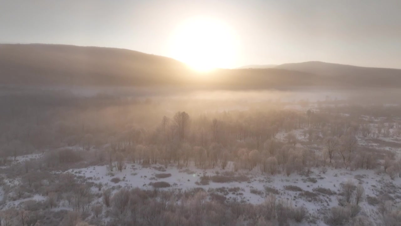 曙光照耀冻雾迷漫的林海雪原视频下载