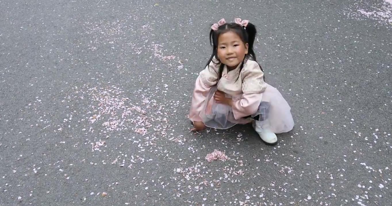 可爱小女孩将地上的樱花花瓣排成爱心形 开心笑了视频下载