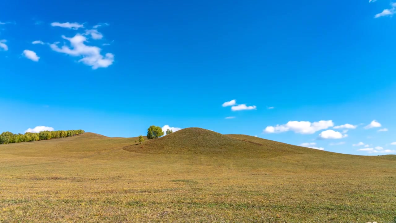 蓝天白云下秋天的内蒙古赤峰市乌兰布统草原和树延时风光视频下载