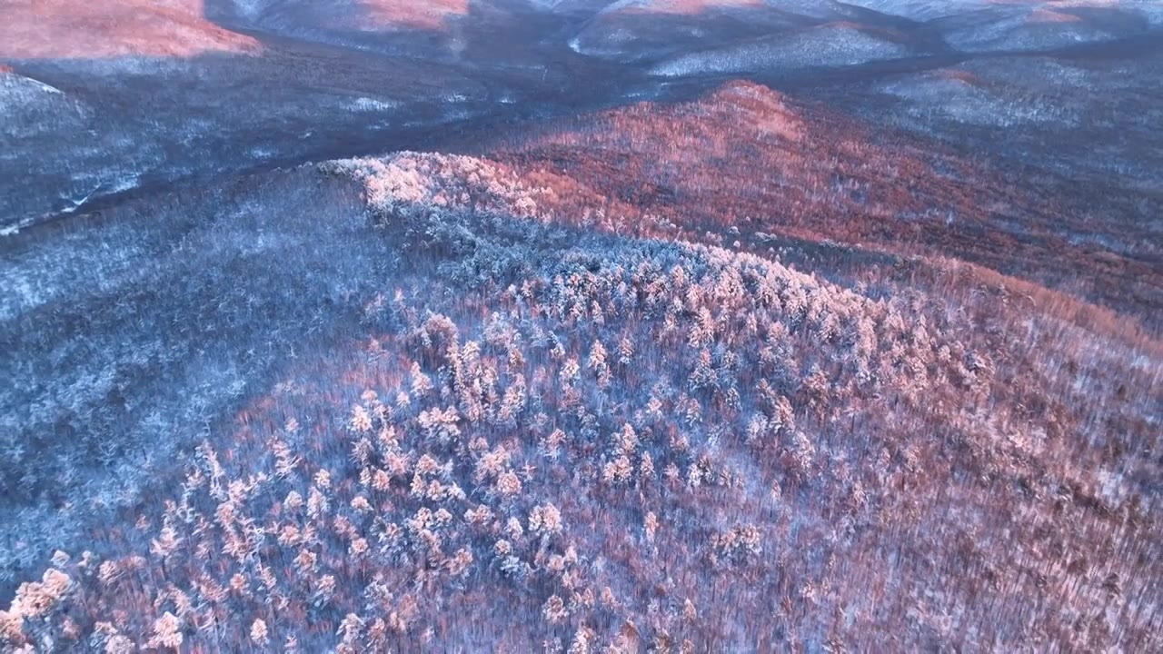航拍极寒之地银装素裹的山林视频下载