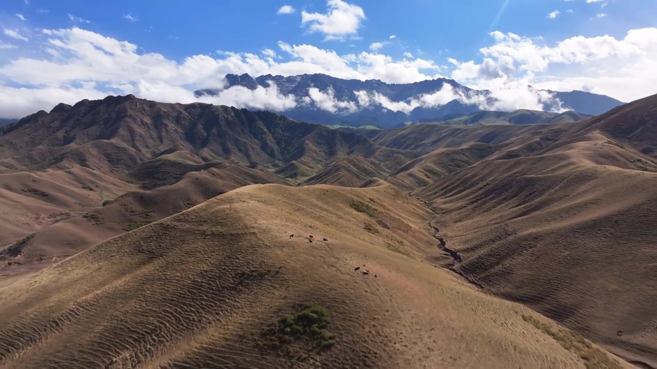 新疆天山山脉风光航拍视频下载