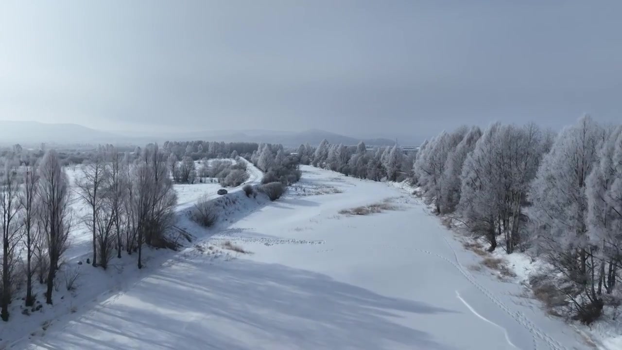 航拍根河林区银色山林雾凇风景视频下载