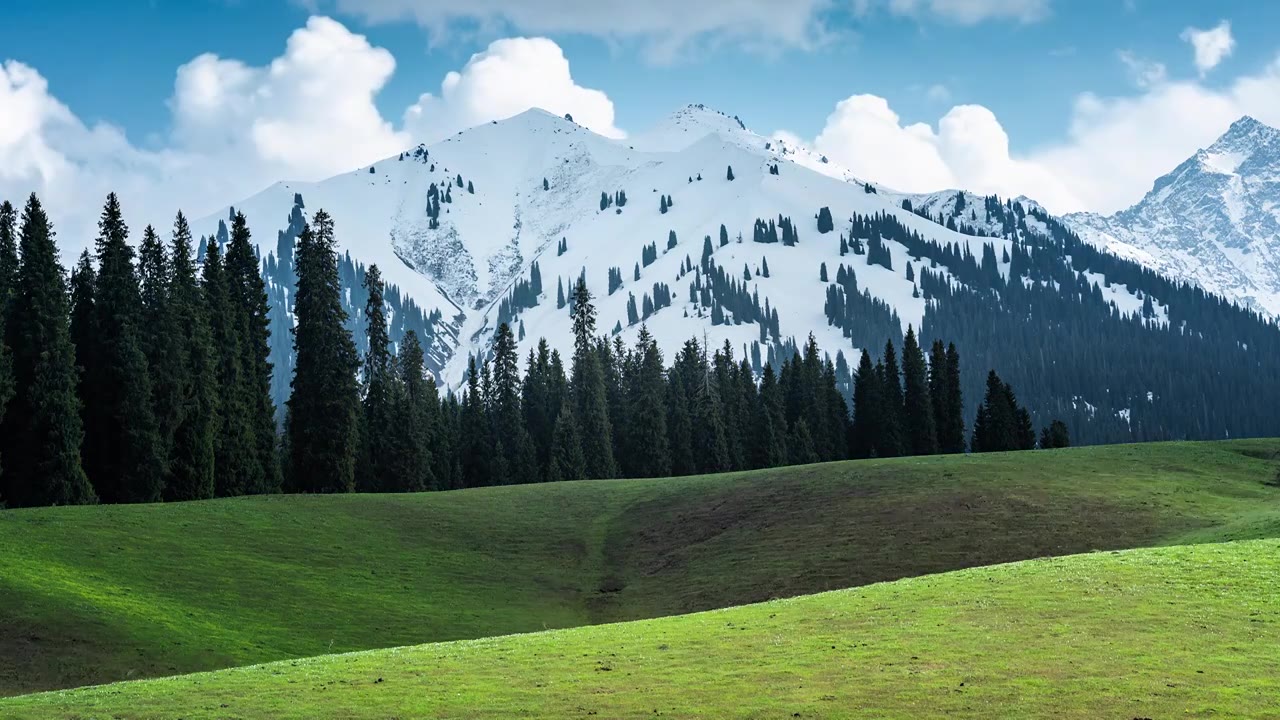 新疆伊犁库尔德宁的雪山森林延时视频购买