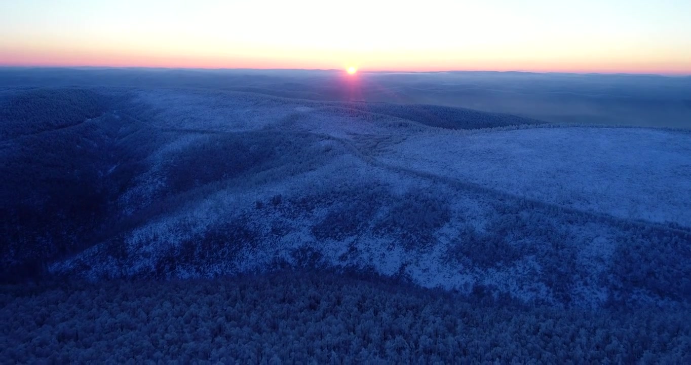 航拍冷空气笼罩的林海雪原视频下载