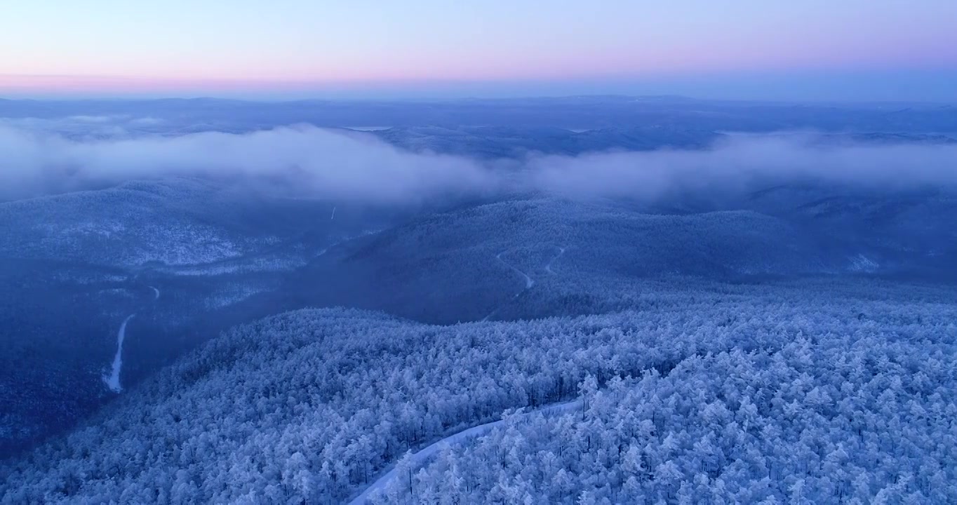 航拍冷空气笼罩的林海雪原视频下载