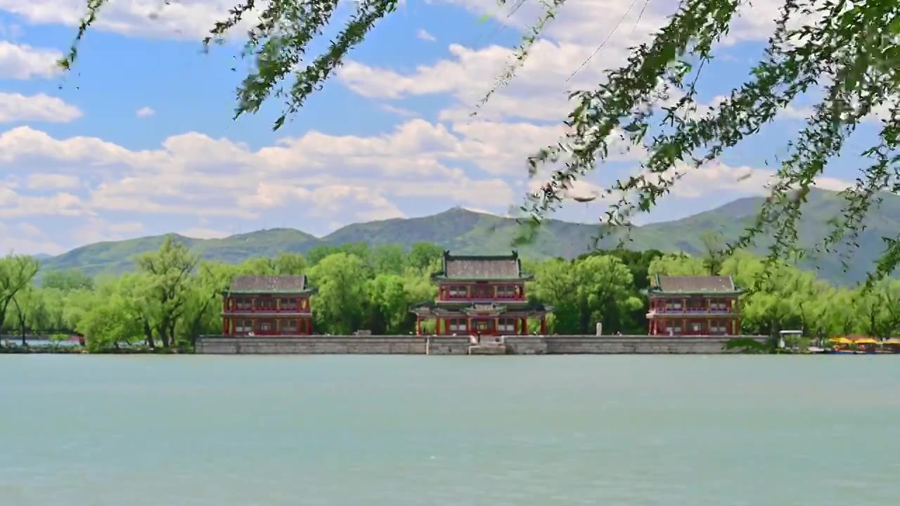 北京皇家园林著名旅游景点颐和园的春天微风吹拂绿色 的柳树柳枝摇摆视频下载