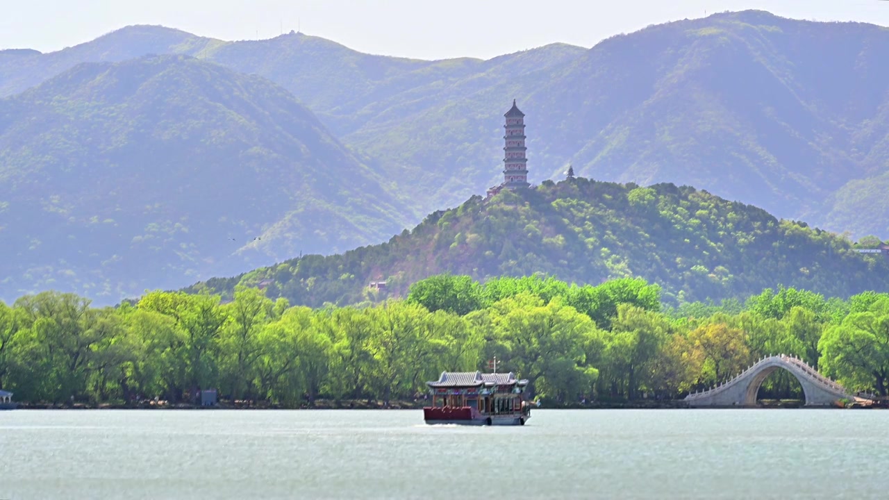 北京皇家园林著名旅游景点颐和园的春天微风吹拂绿色 的柳树柳枝摇摆视频下载