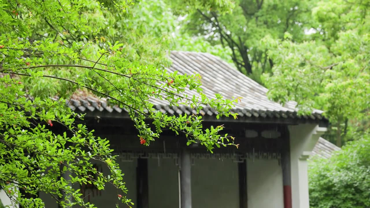 下雨天的中式园林雨滴绿叶屋檐滴水视频素材