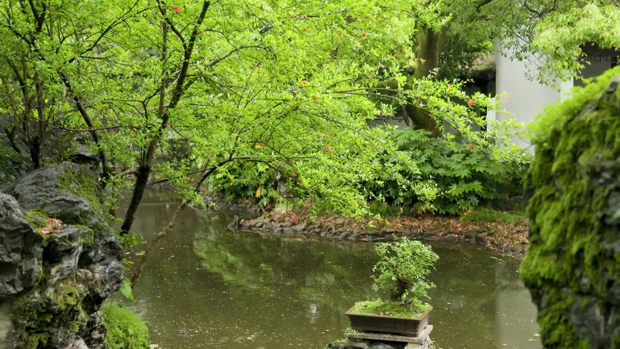 下雨天的中式园林雨滴绿叶屋檐滴水视频下载