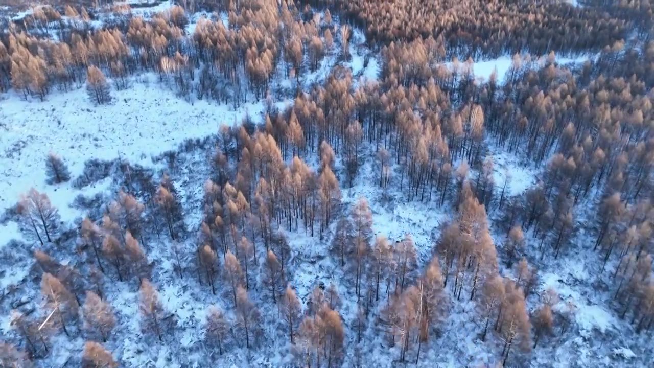 大兴安岭冻土地带森林雪景视频下载