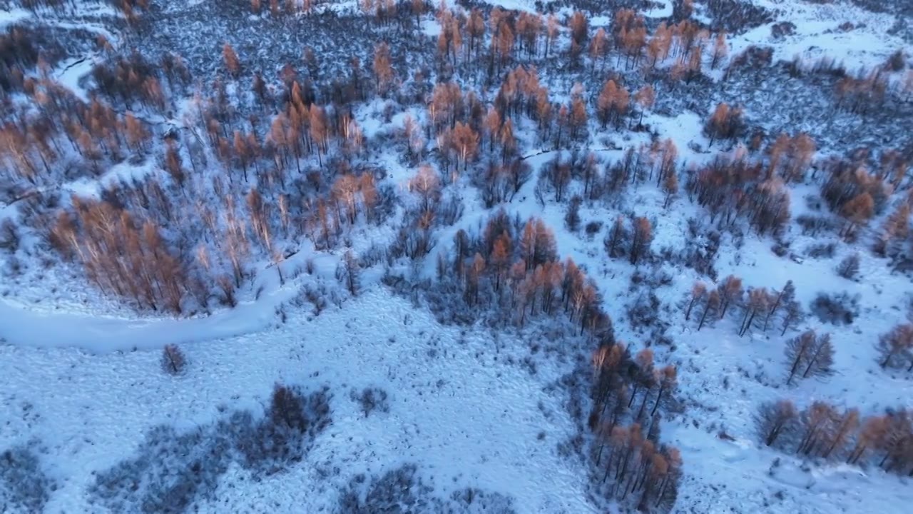大兴安岭冻土地带森林雪景视频下载
