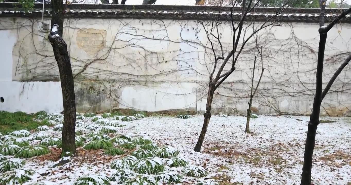 苏州园林白墙雪天雪景视频下载