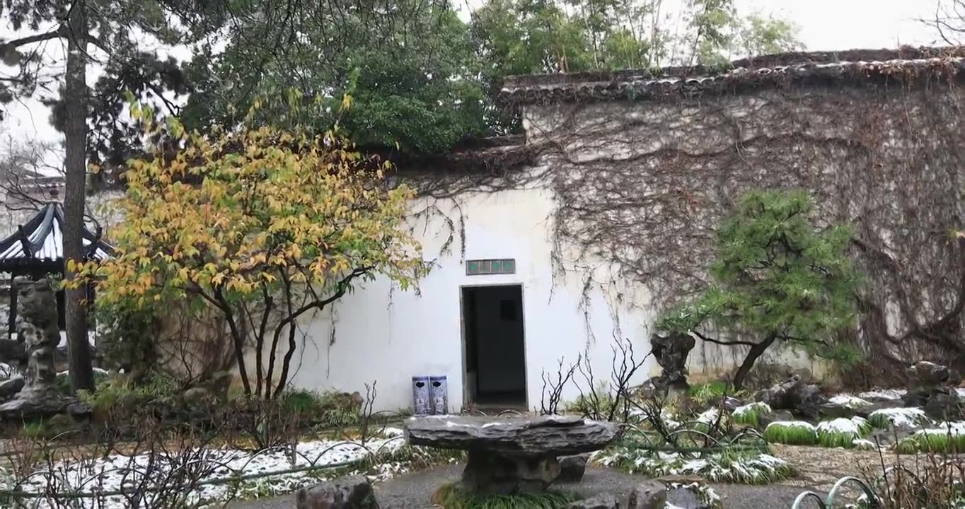 唯美园林腊梅雪景 苏州留园冬天飘雪视频下载