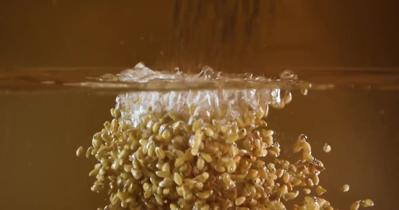 小麦麦粒落入水中,水下摄影视频下载