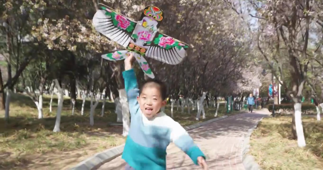 小朋友放风筝玩风车做鬼脸视频下载