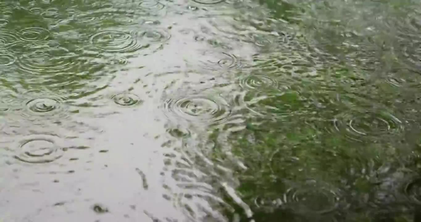 （慢镜）下雨天雨水落在湖面泛起涟漪视频下载