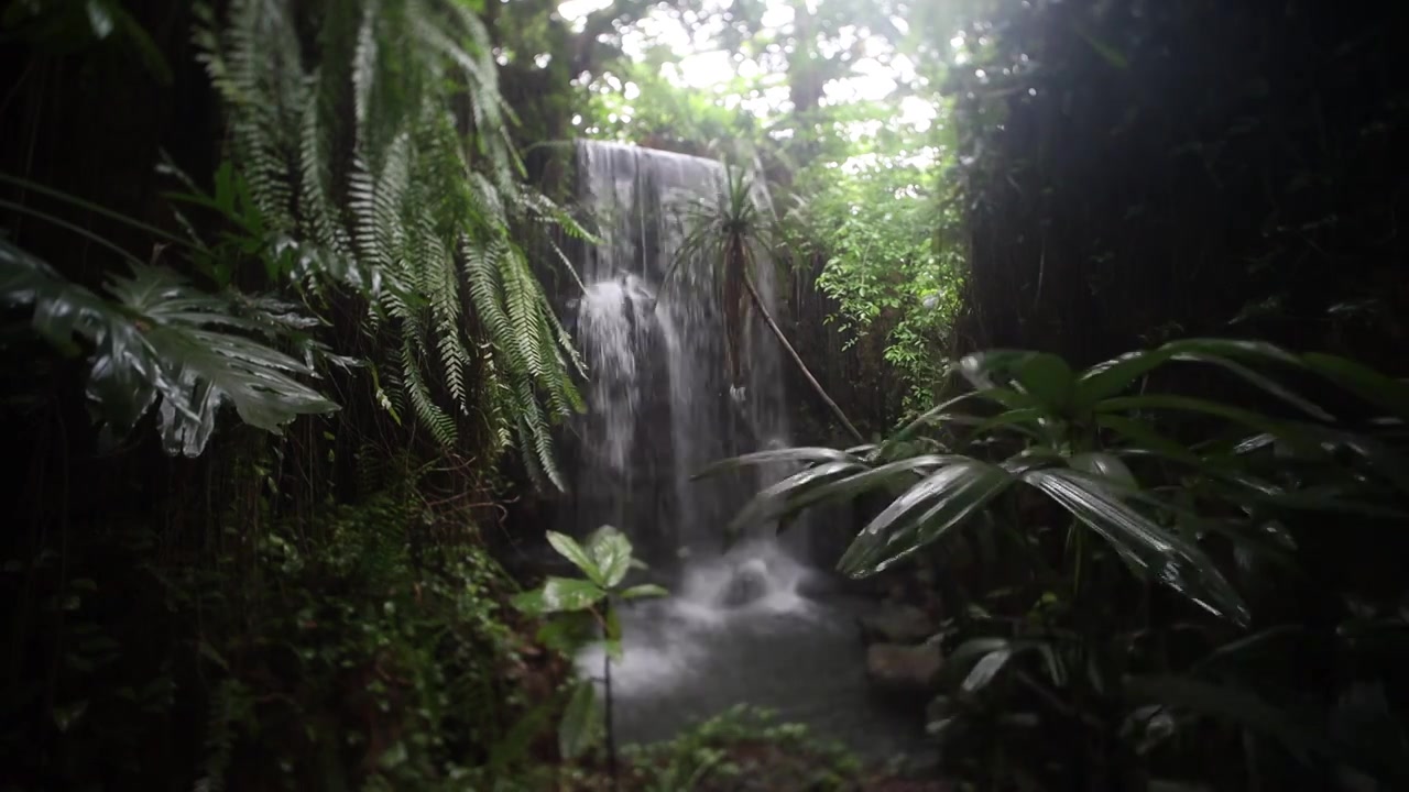 热带雨林瀑布视频下载