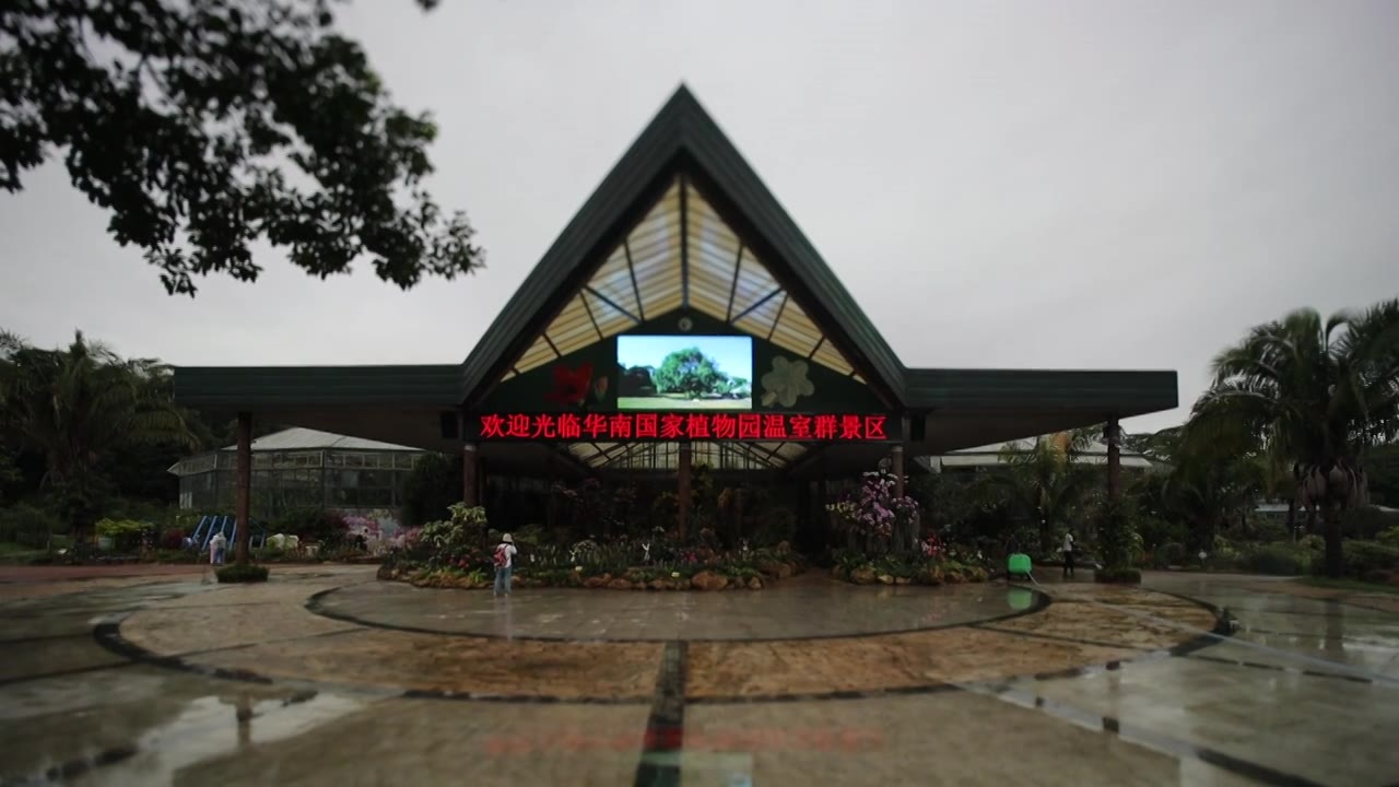 华南植物园视频下载