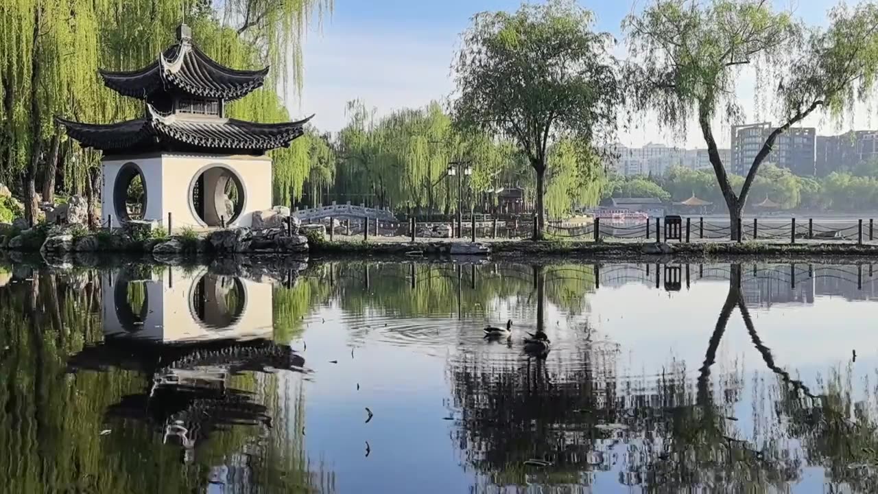 北京陶然亭公园吹台亭的清晨实时视频视频下载