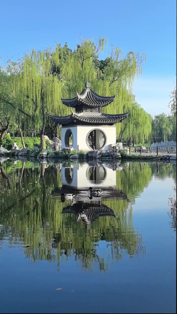 北京陶然亭公园吹台亭的清晨实时视频视频下载