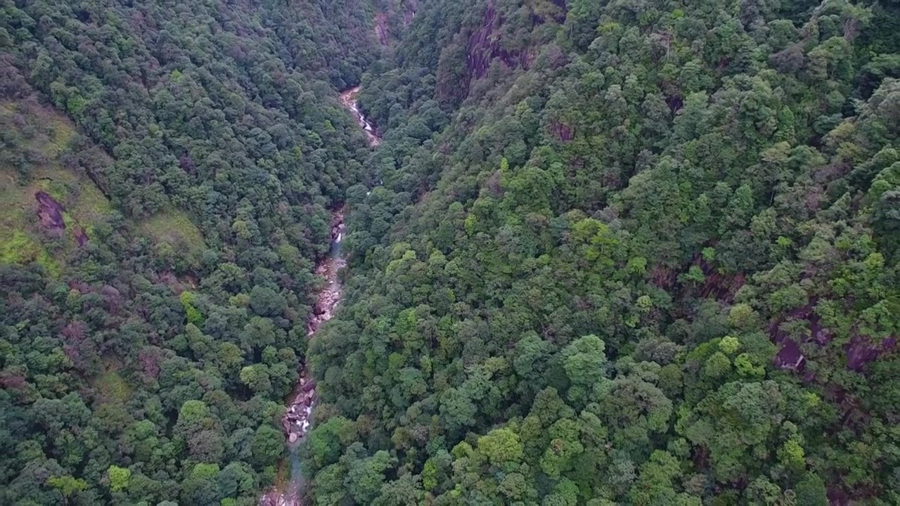 航拍武夷山大安源桐木溪峡谷森林中的清澈溪流及岩石视频下载