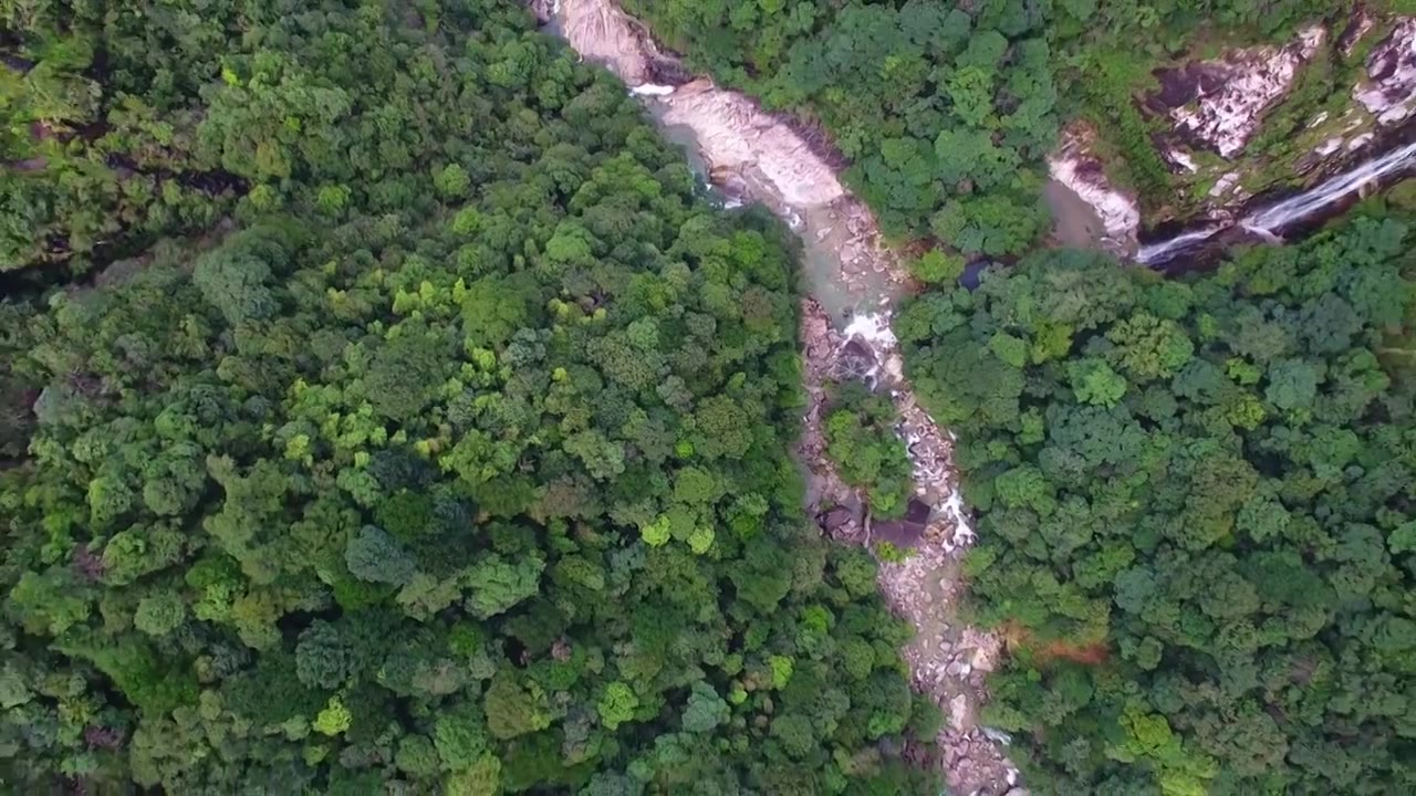 航拍武夷山大安源桐木溪峡谷森林中的清澈溪流及岩石视频下载