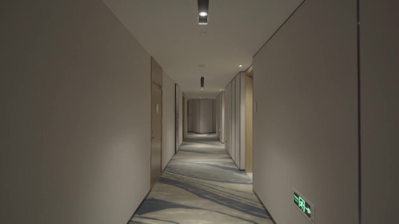 酒店走廊视频下载