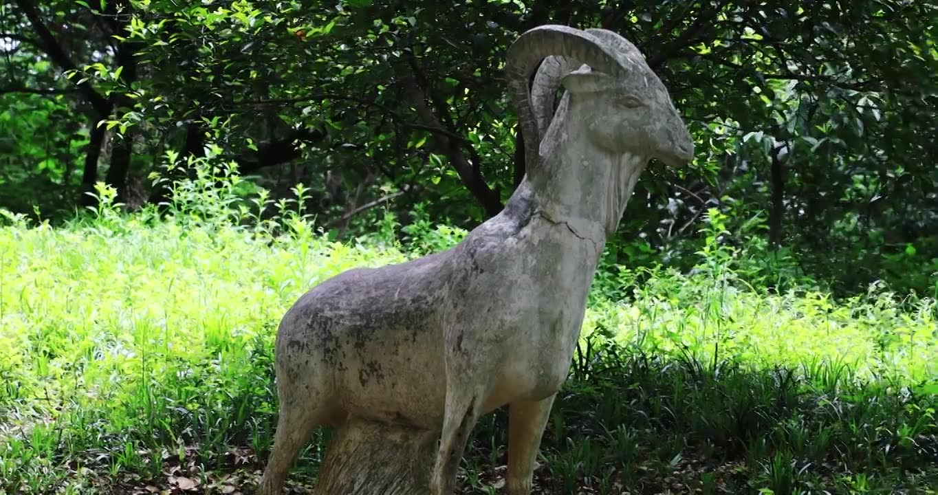 生肖羊雕塑视频下载