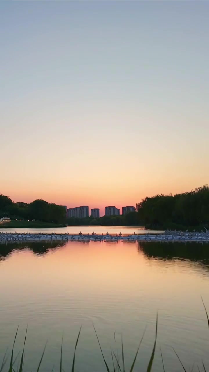湿地公园日落延时视频下载