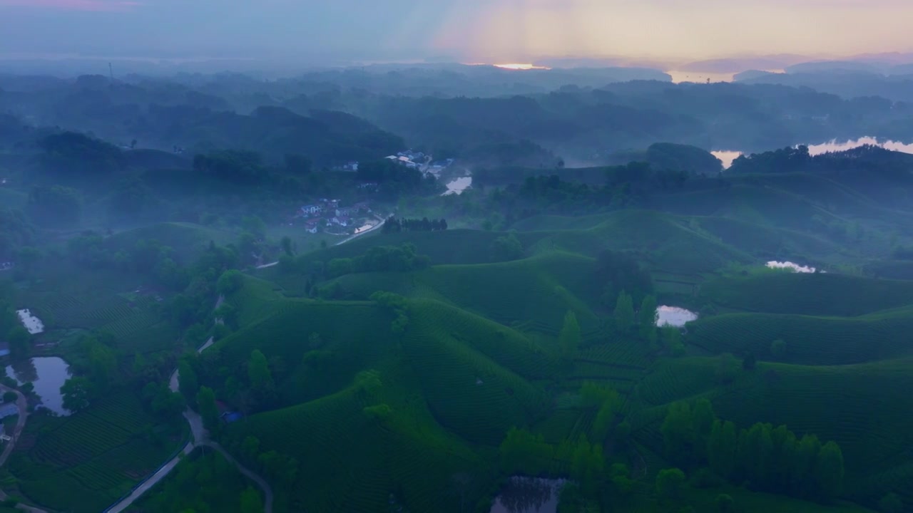 河南信阳茶山采茶绿色健康生态航拍视频下载