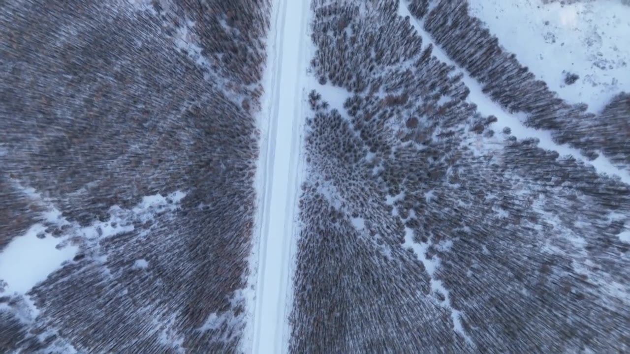 航拍4K大兴安岭漠河林海雪原视频下载
