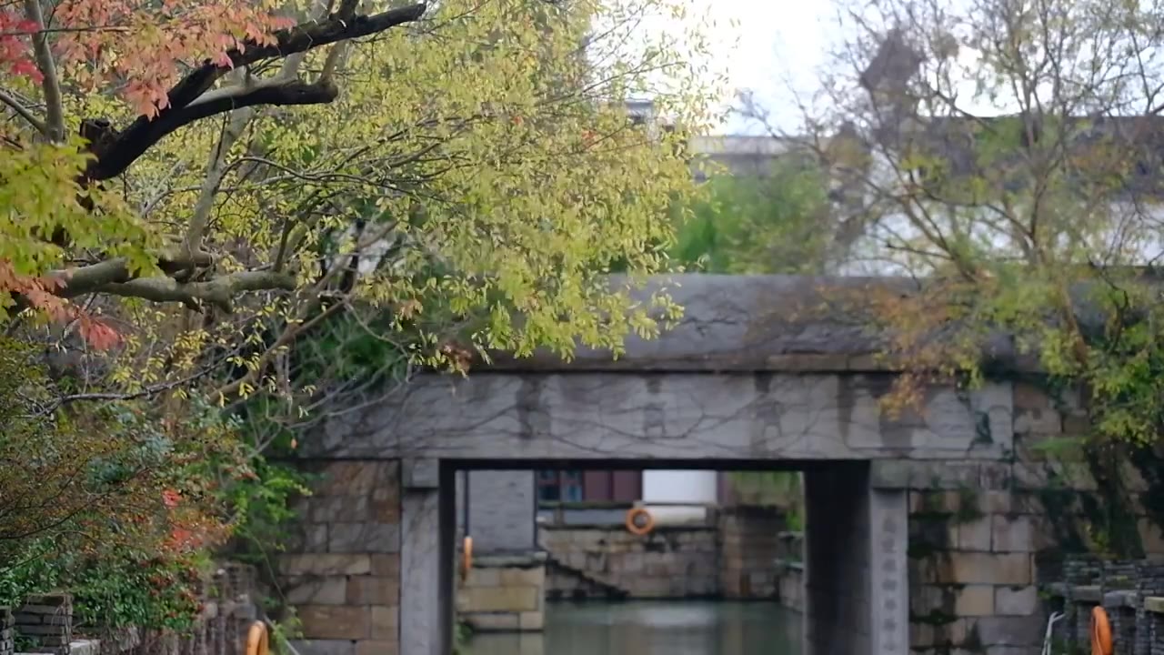 广富林遗址公园枝繁叶茂，桥，水视频下载