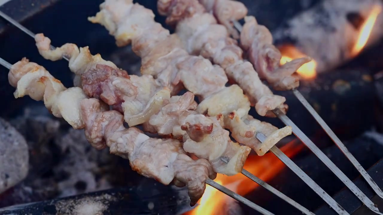 美食烧烤肉串烤肉串羊肉串五花肉视频下载