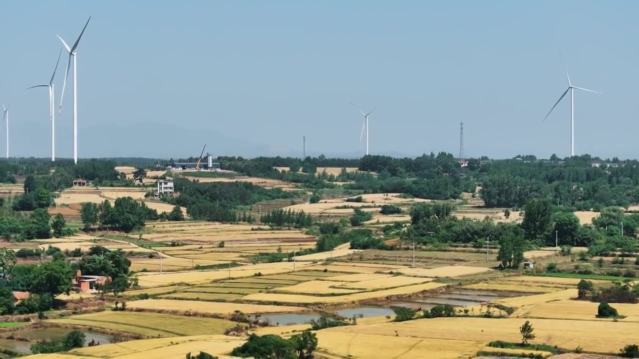 4K60P乡村金黄的麦田和风力发电机航拍视频下载