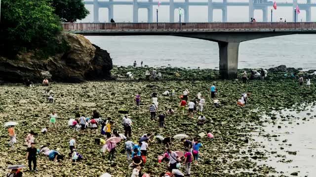 中国大连自然风景延时摄影视频素材